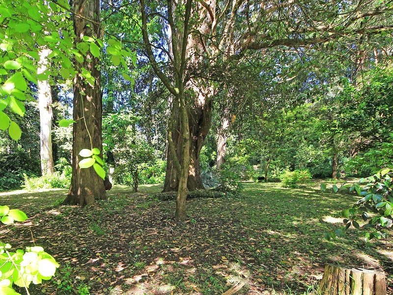 28 Upper Coonara Road, Olinda VIC 3788