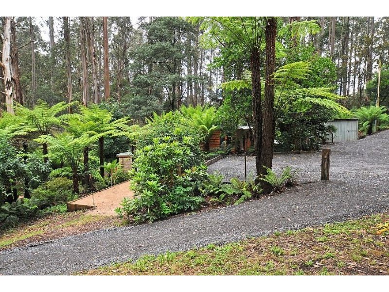 13 Colston Avenue, Sherbrooke VIC 3789
