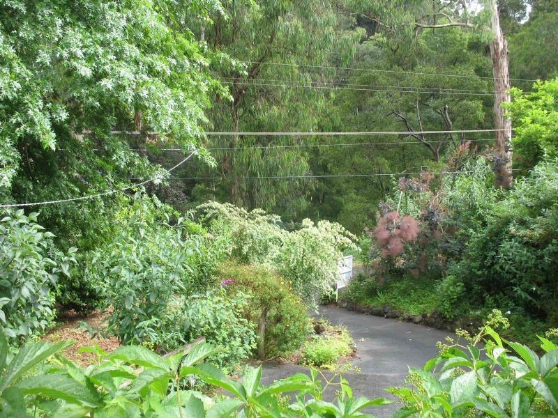 40 McAllister Road, Monbulk VIC 3793