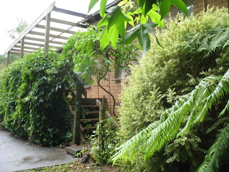 40 McAllister Road, Monbulk VIC 3793