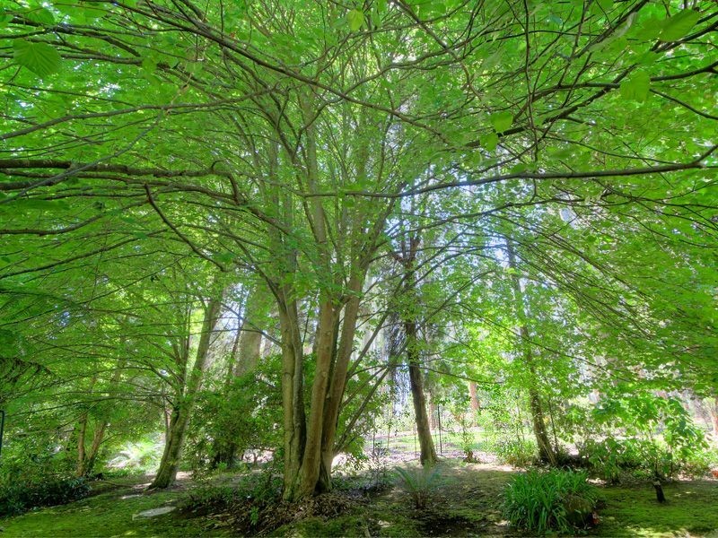 199 Ridge Road, Mount Dandenong VIC 3767