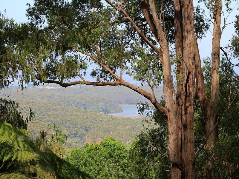 24 Barbers Road, Kalorama VIC 3766