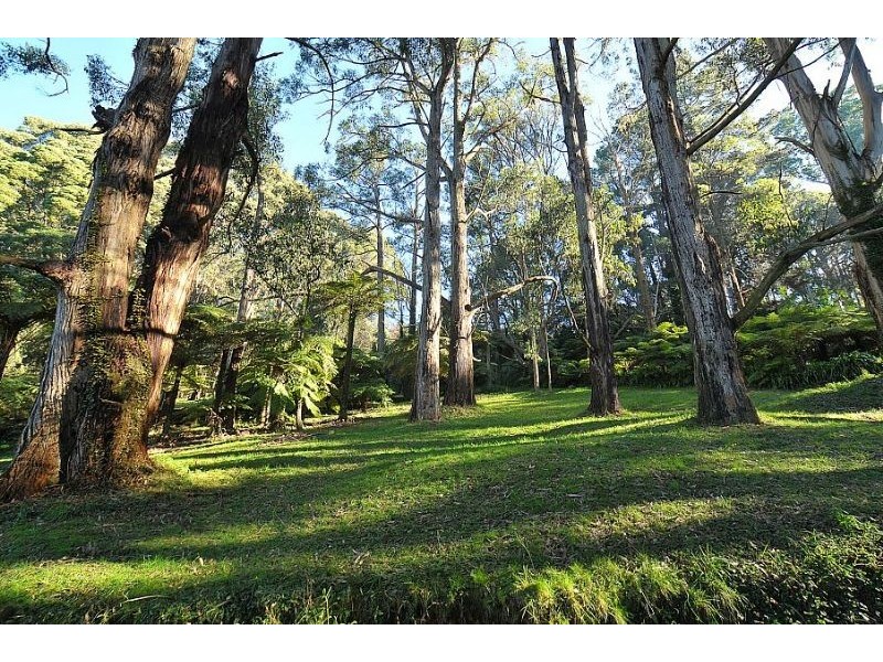 24 Barbers Road, Kalorama VIC 3766