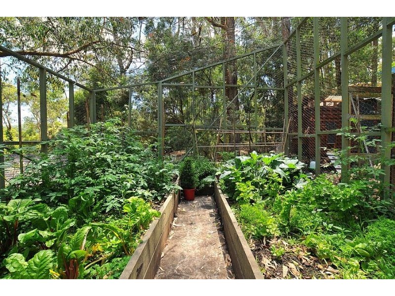 13 The Serpentine, Tecoma VIC 3160