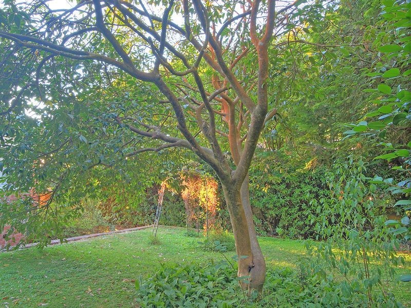 6 Monash Avenue, Olinda VIC 3788