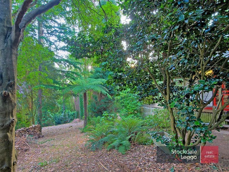 52 Olinda Crescent, Olinda VIC 3788