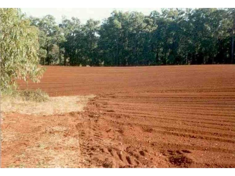 45 Wylie Road, Silvan VIC 3795