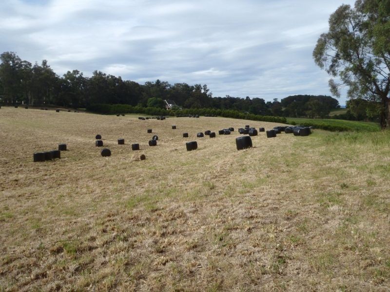 45 Wylie Road, Silvan VIC 3795