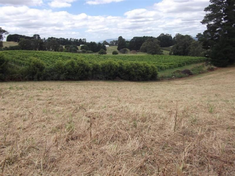 45 Wylie Road, Silvan VIC 3795