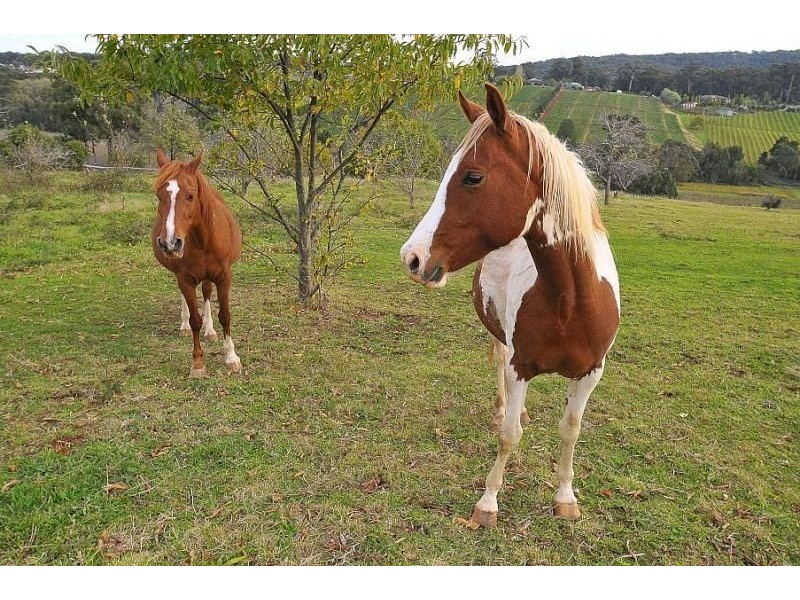 14 Hunter Road, Silvan VIC 3795