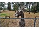 89 Forest Park Road, Upwey VIC 3158