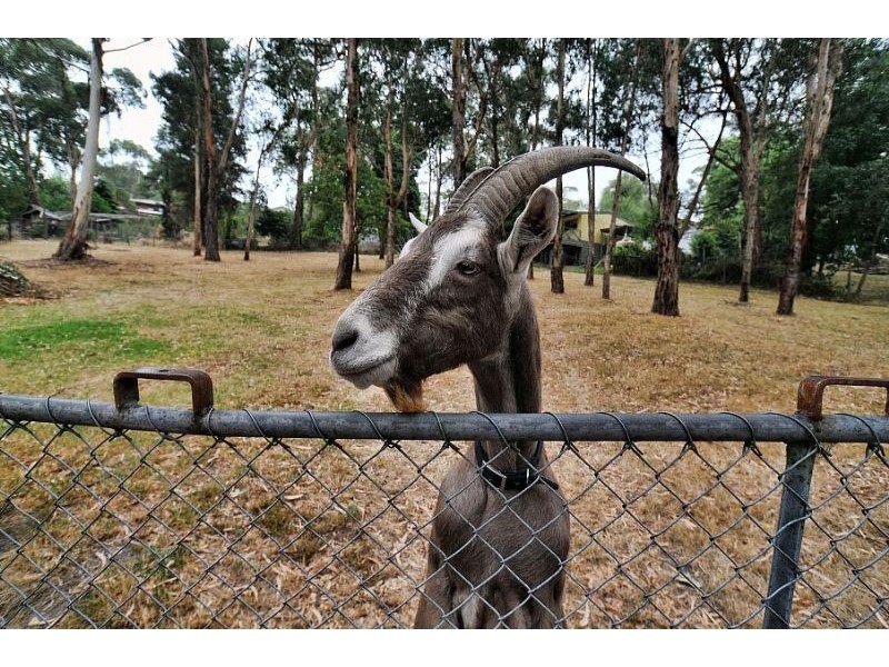 89 Forest Park Road, Upwey VIC 3158
