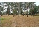 89 Forest Park Road, Upwey VIC 3158