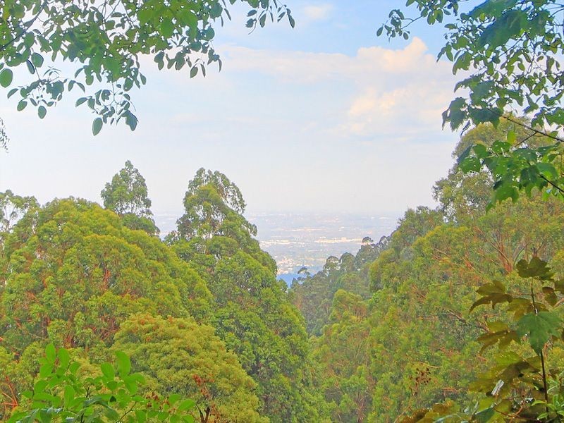 Mount Dandenong VIC 3767