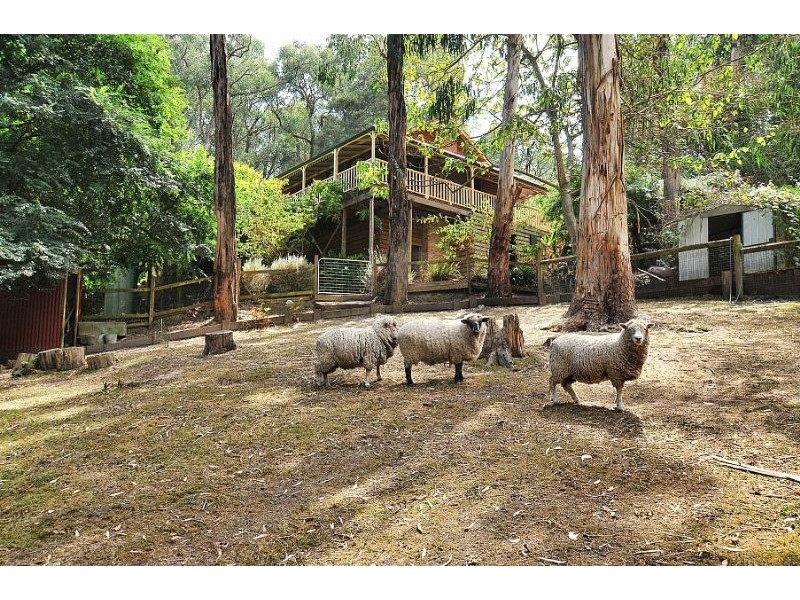 20 Bolton Road, Selby VIC 3159