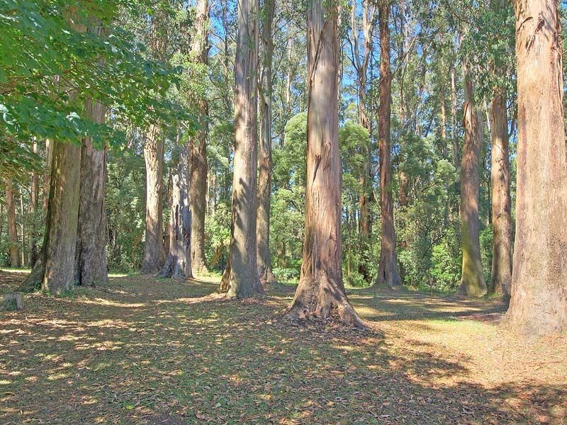 7 Seaview Avenue, Ferny Creek VIC 3786