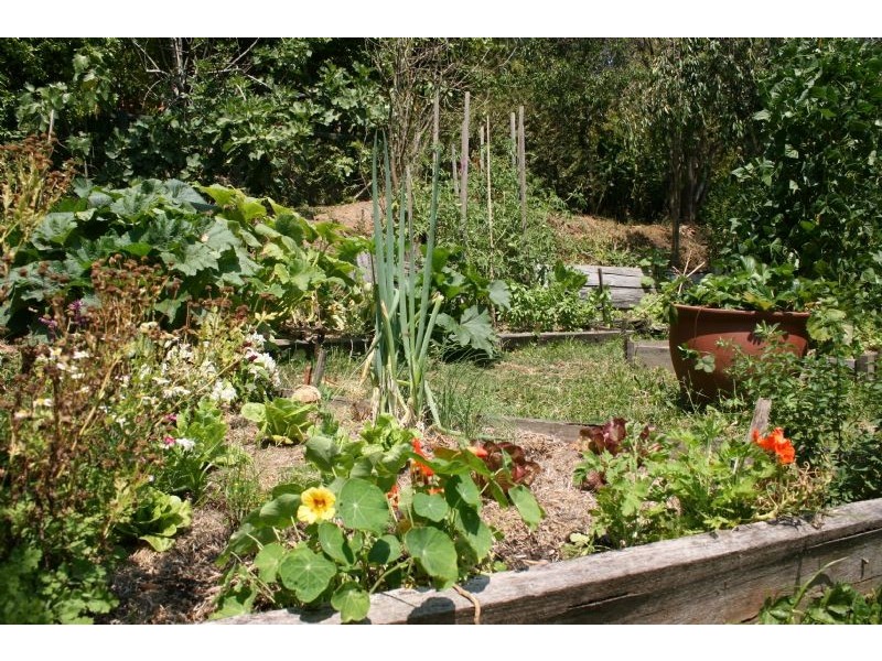 37 Blackwood Street, Tecoma VIC 3160