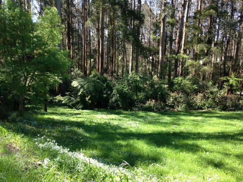 Mount Dandenong VIC 3767