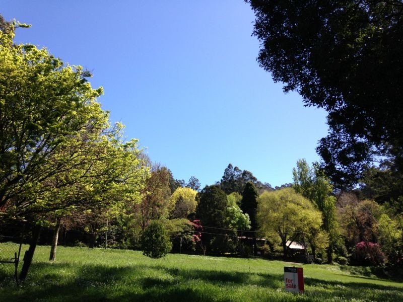 Mount Dandenong VIC 3767