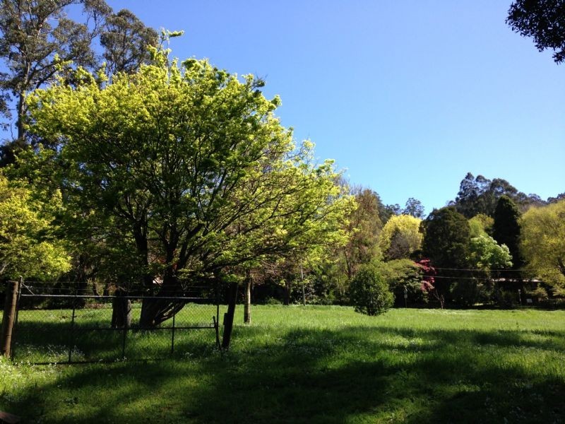 Mount Dandenong VIC 3767