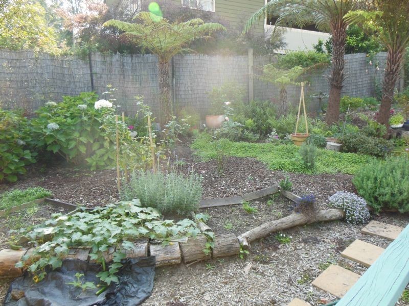 5 Douglas Crescent, Monbulk VIC 3793