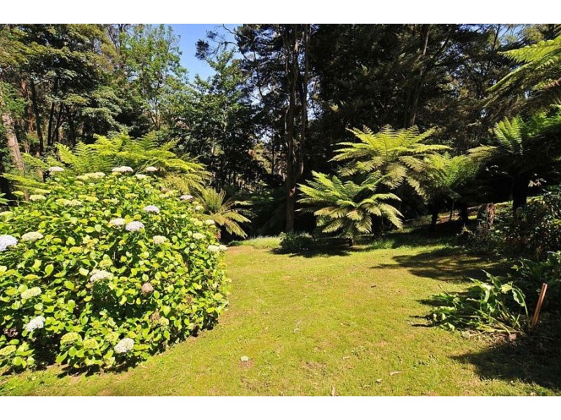 7 Webbs Road, Ferny Creek VIC 3786