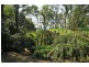 7 Ridge Road, Kallista VIC 3791