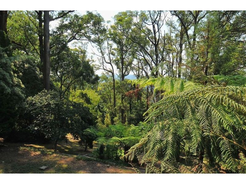 7 Ridge Road, Kallista VIC 3791