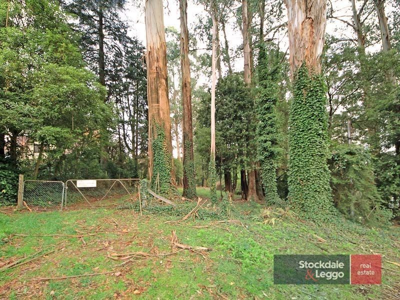 16 Monash Avenue, Olinda VIC 3788