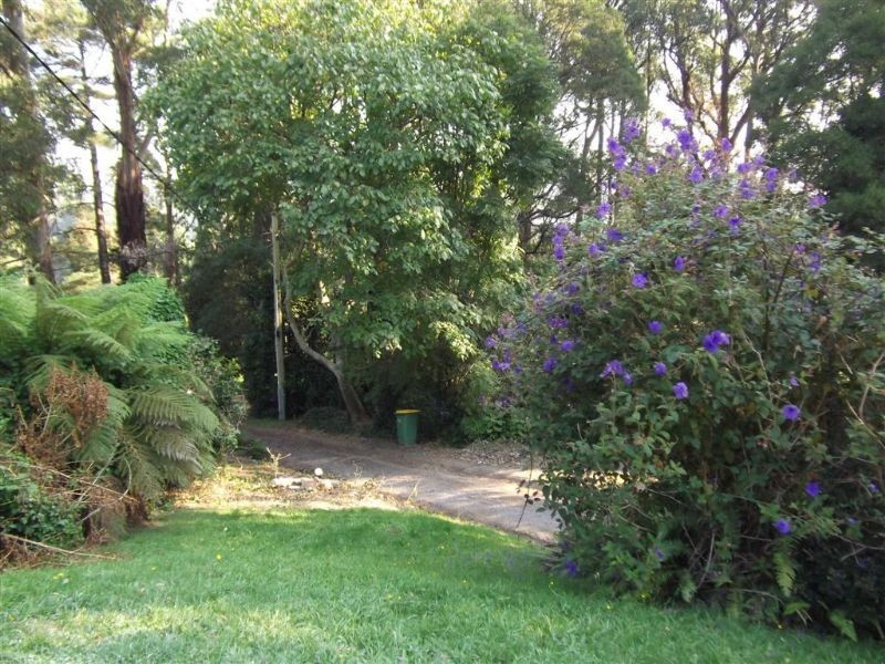8 Mason Grove, Sassafras VIC 3787
