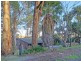 94 Martin Street, Belgrave VIC 3160