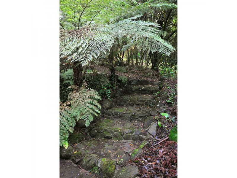 23 Gleghorn Road, Kallista VIC 3791