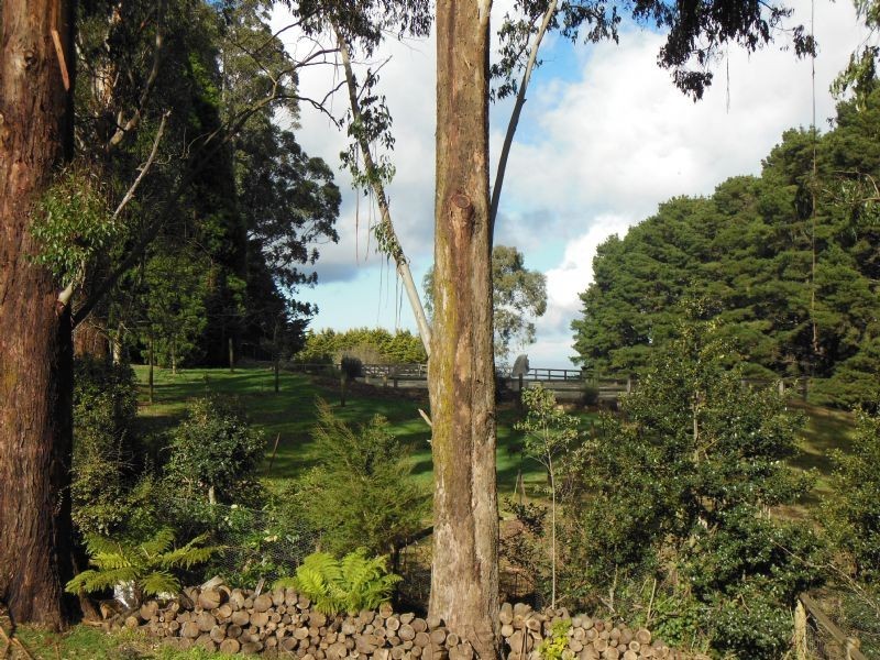 Flat/5 Plowman Street, Olinda VIC 3788