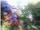 Mount Dandenong VIC 3767