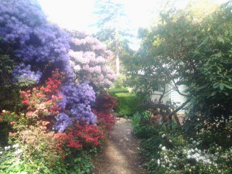 Mount Dandenong VIC 3767