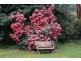 Mount Dandenong VIC 3767