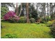 Mount Dandenong VIC 3767