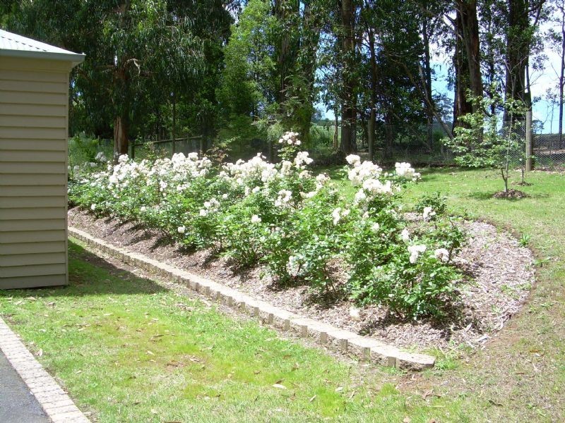 10 School Road, Menzies Creek VIC 3159