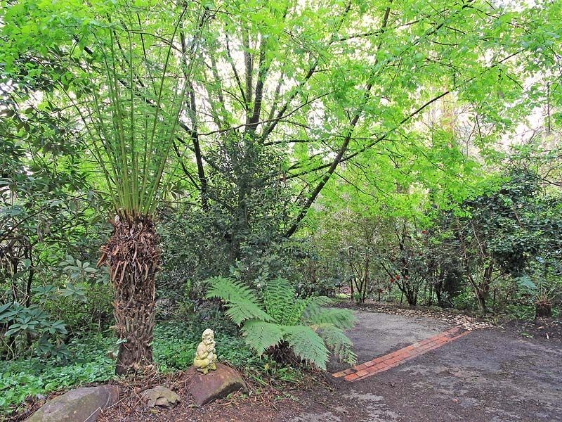 14 Upper Coonara Road, Olinda VIC 3788