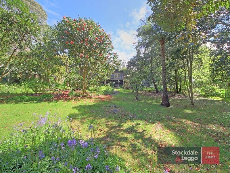 135 Olinda-Monbulk Road, Olinda VIC 3788