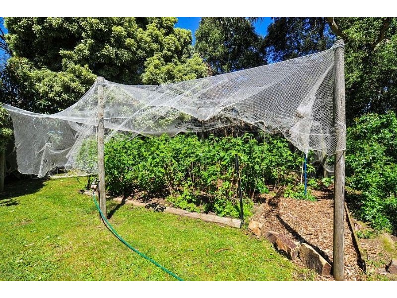 15 Greenwell Road, Selby VIC 3159