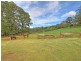 194 Old Emerald Road, Monbulk VIC 3793