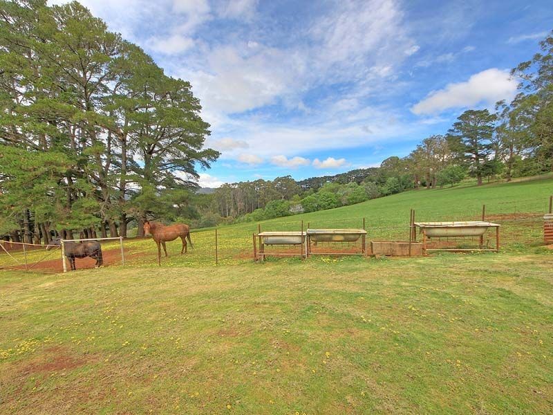 194 Old Emerald Road, Monbulk VIC 3793