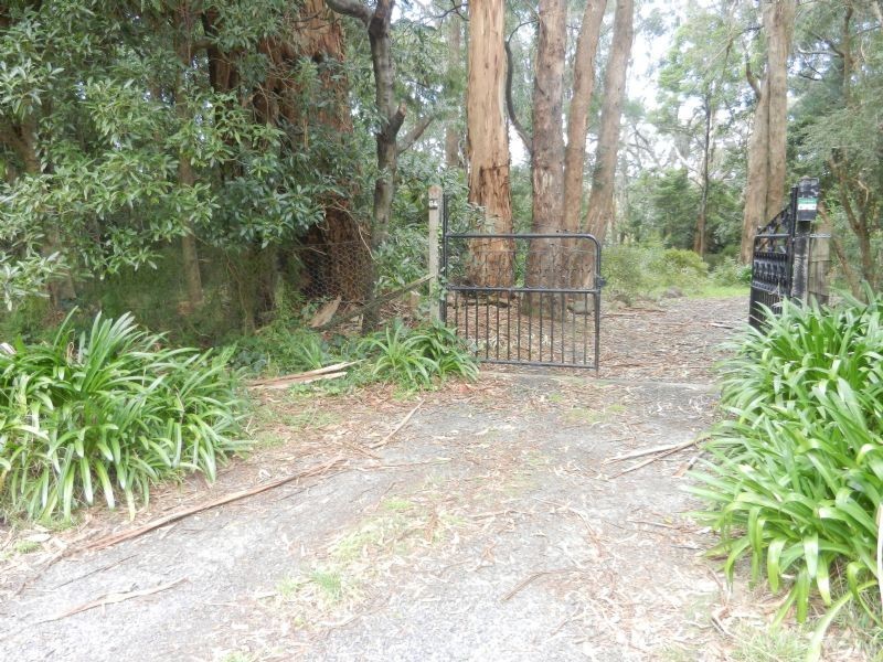 64 Terrys Avenue, Belgrave VIC 3160