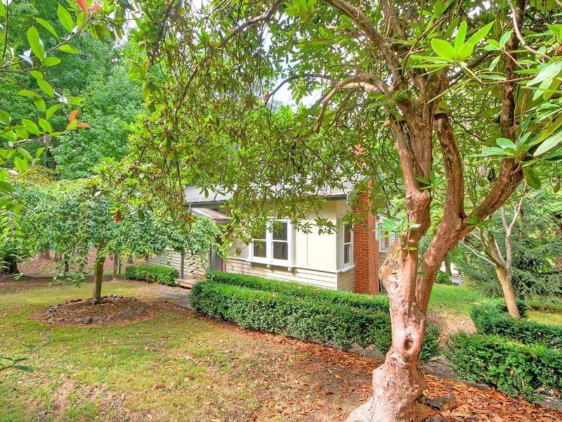 183A Emerald Monbulk Road, The Patch VIC 3792