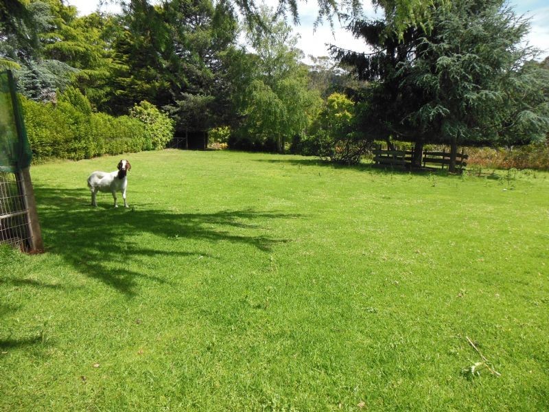 77 Wiseman Road, Silvan VIC 3795