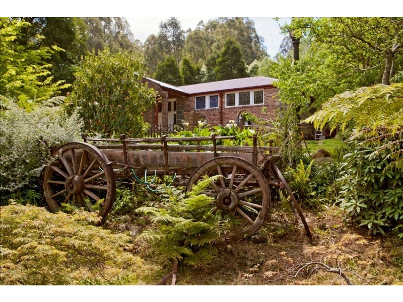 19 Colehurst Crescent, Sassafras VIC 3787