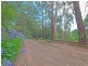 152 Olinda-Monbulk Rd, Olinda VIC 3788