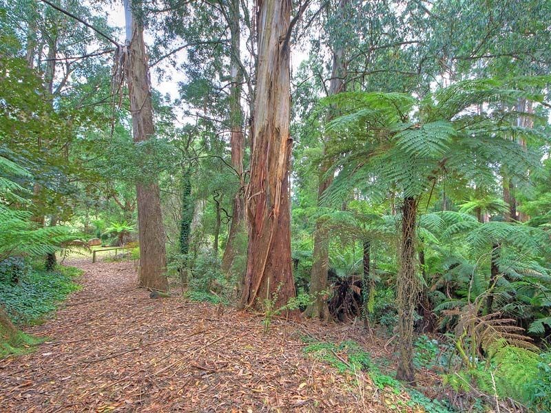 37 Fordyce Road, Mount Dandenong VIC 3767