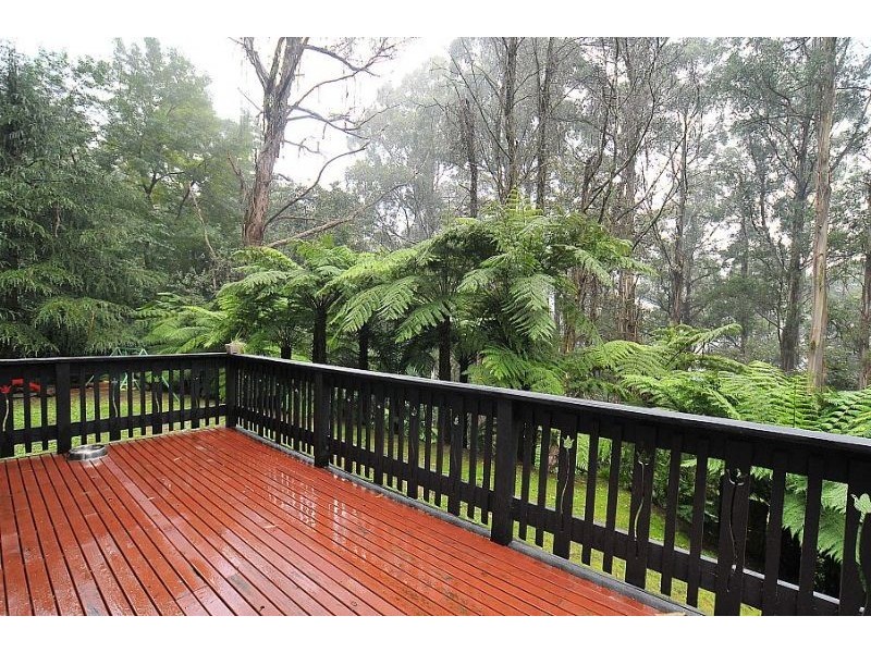 420 Mt Dandenong -Tourist Rd, Sassafras VIC 3787